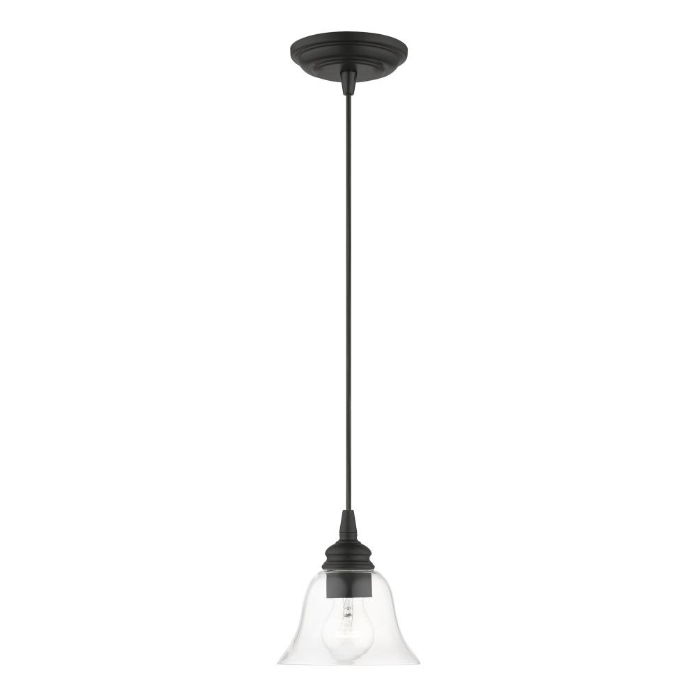 1 Light Black Single Pendant