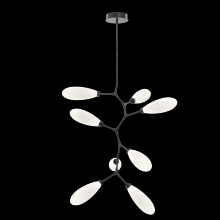 Hammerton CHB0071-VB-MB-WL-001-L3 - Fiori Modern Vine 8 Pc.-Matte Black-White Glass Lens