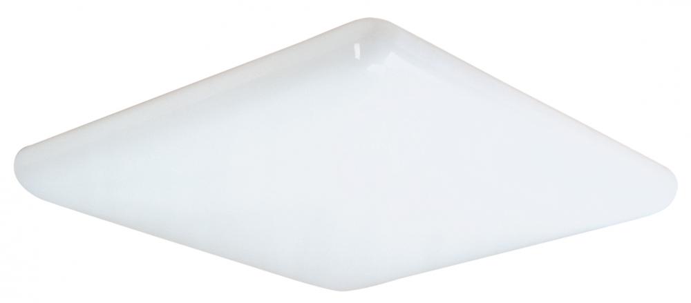 White Fluorescent Light