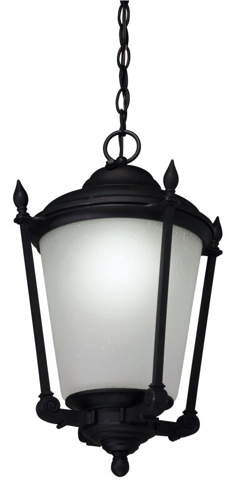 One Light Black Hanging Lantern