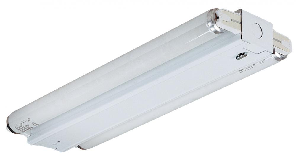 Two Light White Fluorescent Light