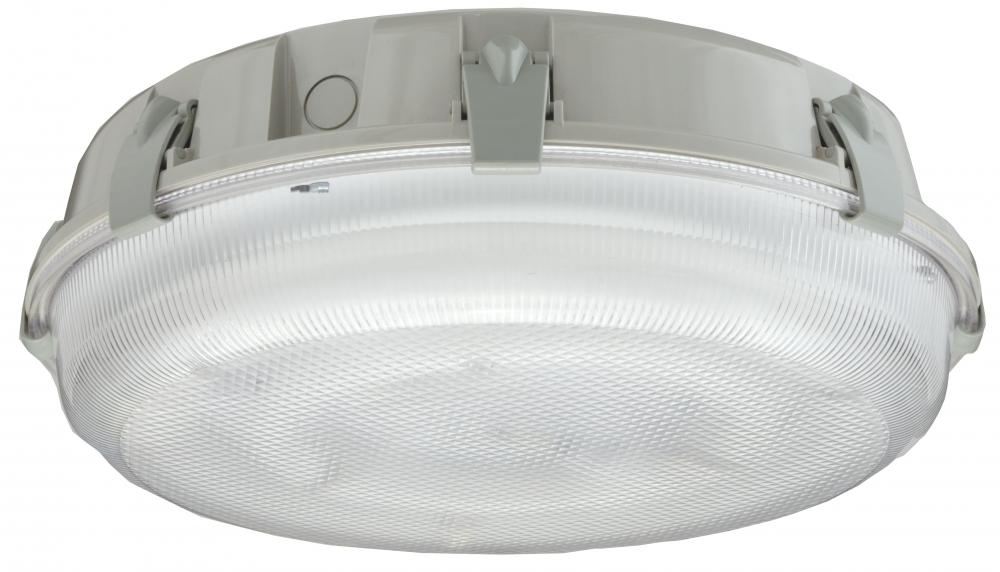 Two Light White Outdoor Flush Mount