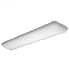 Light Concepts (Lithonia) 10640RE - White Fluorescent Light