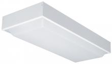 Light Concepts (Lithonia) 11231RE WH - Two Light White Fluorescent Light