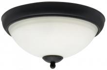 Light Concepts (Lithonia) 11634 BZD - Black Bowl Flush Mount