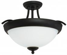 Light Concepts (Lithonia) 11635 BZD - Black Bowl Semi-Flush Mount