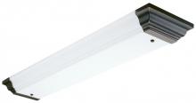 Light Concepts (Lithonia) 11644RE BNS - Bronze Fluorescent Light