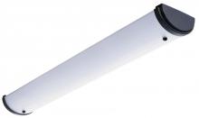 Light Concepts (Lithonia) 11746RE BZ - Two Light Bronze Fluorescent Light