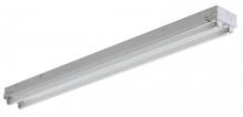 Light Concepts (Lithonia) C 2 32 120 GESB - Two Light White Fluorescent Light