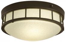 Light Concepts (Lithonia) ODLF10 GBZ - Two Light Bronze Outdoor Flush Mount