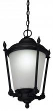 Light Concepts (Lithonia) ODLP12 BL - One Light Black Hanging Lantern