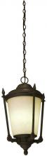 Light Concepts (Lithonia) ODLP12 BZ - One Light Bronze Hanging Lantern