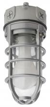 Light Concepts (Lithonia) OVT 150I 120 - One Light Gray    Outdoor Flush Mount