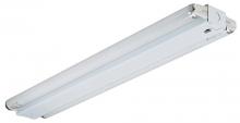 Light Concepts (Lithonia) SM 2 25 120 RE - Two Light White Fluorescent Light