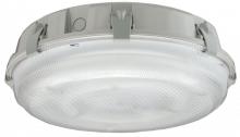 Light Concepts (Lithonia) XWLR 54 120 RE LP - Two Light White Outdoor Flush Mount