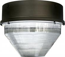 Dabmar DW8722-MT - MED ROUND CEILING FIX 150W HPS MT