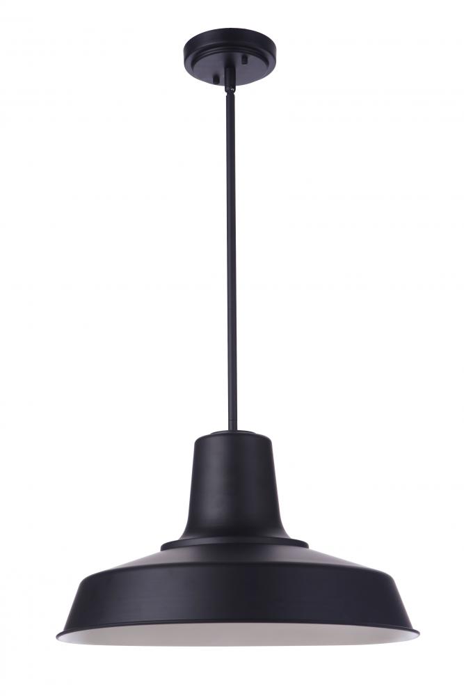 Briscoe 1 Light 18&#34; Outdoor Pendant in Midnight