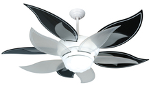 Craftmade K10612 - 52&#34; Bloom Ceiling Fan Kit