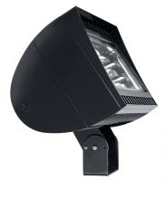 RAB Lighting FXLED300T/PCS2 - FLEXFLOOD 300W COOL LED