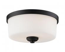 Z-Lite 220F2 - 2 Light Flush Mount