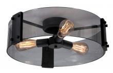 AFX Lighting, Inc. DNAC18MBBK - Dana 18&#39;&#39; Semi Flush Med Base 120V BK