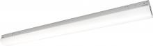 AFX Lighting, Inc. LSL4805LAJD2WH - Lisle 48&#39;&#39; Linear Led 40W 120-277V WH