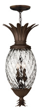 Hinkley Merchant 2222CB - Large Hanging Lantern