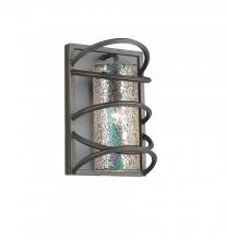 Woodbridge 12541BLK-M10IRI - 1-Light Black Wall Sconce