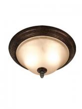 Woodbridge 31028-TOR - Bronze Bowl Flush Mount