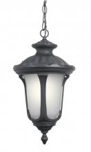 Woodbridge 61025WL-BKP - Black Hanging Lantern