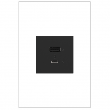 Legrand Canada ARUSB2AC6G4 - 2M USB with 2-Type A/C 6A