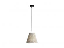 Golden 2419-14 WCT - Clarus - 14&#34; LED Pendant