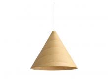 Golden 3988-24 LWA - Conique - 24&#34; Pendant