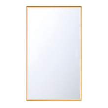 Eurofase 48097-024 - Cerissa 54&#34; Rectangular Mirror in Gold