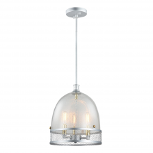 ZEEV Lighting P30035-3-MSL - 3-Light 11&#34; Boutique Dome Pendant Light