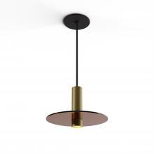 Koncept Inc CMP-S1-S-06-BRS+GTEA9 - Combi Pendant 6&#34; Single Unit Brass with Matte Black Canopy, 9&#34; glass plate (Tea Brown) attac