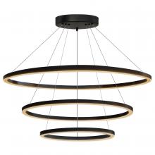 Whitfield CH4404-322416BK - 1 Light Pendant