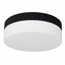 Whitfield FM52-11BK - 2 Light Flush Mount