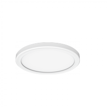 Whitfield FML120-5WH-3CCT - LED Flushmount