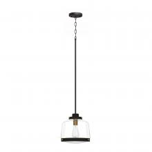 Whitfield PT561-11EBZNG - 1 Light Pendant