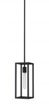 Whitfield PT5800-1BK - 1 Light Pendant