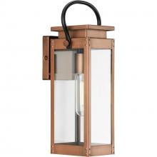 Progress P560004-169 - P560004-169 1-L WALL LANTERN