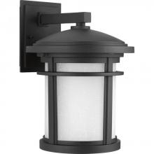 Progress P6085-3130K9 - P6085-3130K9 1-17W LED WALL LANTERN