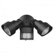 Acclaim Lighting LFL2BKM - Motion Activated LED Floodlights Collection 2-Light Outdoor Black Light Fixture