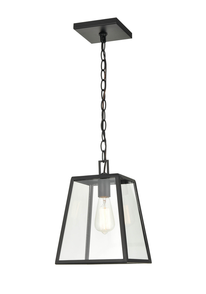 Grant 1-Light Outdoor Hanging Lantern Powder Coated Black