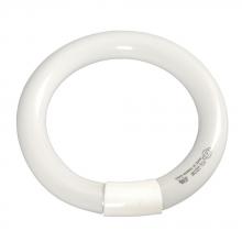 Galaxy Lighting FCL-32CW - Fluorescent Circular Tube