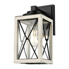 DVI Lighting DVP43371BK+BIW-CL - County Fair Small Sconce