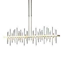 Hubbardton Forge - Canada 139726-LED-LONG-86-85 - Cityscape Large LED Pendant