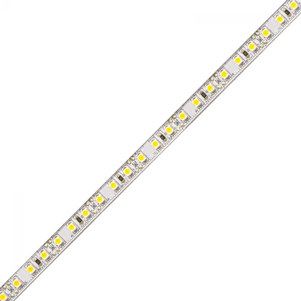 BLAZE LED Tape Light - 12V, 4200K, 80 CRI, 16.4 ft.