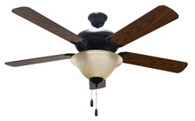 HOMEnhancements 18698 - 52&#39; 5-Blade RB Fan W/Tea Stained Bowl Light Kit(2x9.5W LED 3000K)